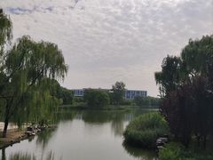 -大兴滨河森林公园