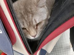 -宠颐生宠物医院·综合诊疗(先锋分院)