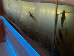 -扶摇树下·椒麻鲜活虾(石家庄勒泰广场店)