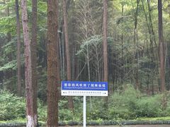 -瑶琳仙境