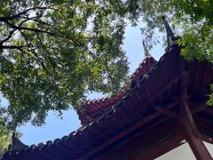 -上海佘山国家森林公园天马山园