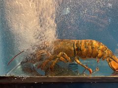 -百富源·海鲜辽菜(和平北大街店)