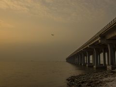 -宝安西湾红树林湿地公园