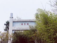 -竹子庵公园