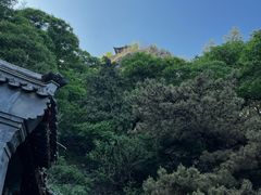 -鹫峰国家森林公园