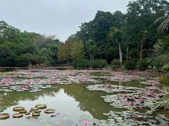 -中国科学院西双版纳热带植物园