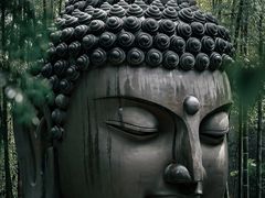 -杭州植物园
