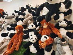 -宜家家居(高新商场店)