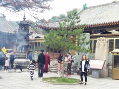 -五台山风景名胜区-罗睺寺