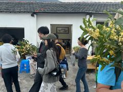 -苏州市吴中区光福窑上花果蜜饯厂