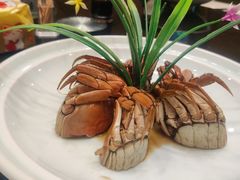 -九炉分座(五彩店)