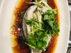 清蒸桂花鱼-凯悦酒家