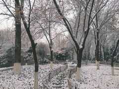 -丰台科技园生态主题公园