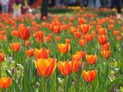 -长春公园(普阳街道)