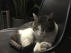 -UNI UNI(环亚凯瑟琳店)