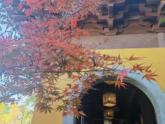 -慧因高丽寺