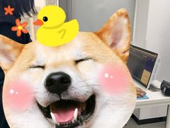 -魔扣少儿编程(格调中心店)