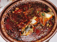 -杨氏青龙虾·羊蝎子(托乐嘉店)