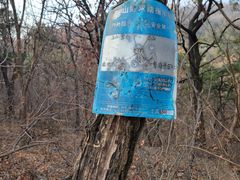 -北京鹫峰国家森林公园