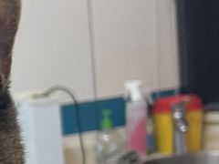 -虹泰宠物医院 ·旗舰店·24h(南秀路店)