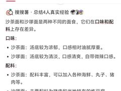 -阿晖沙嗲面