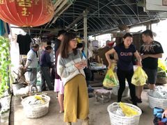 -马陆小张葡萄园农家乐