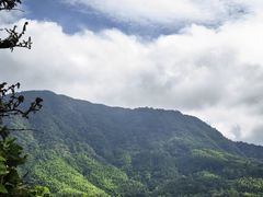 -塔川景区