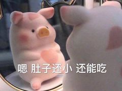 -GOGO Plate(成都太古里店)