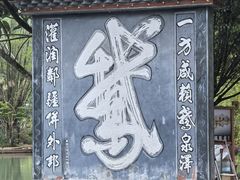 -靖西鹅泉风景区