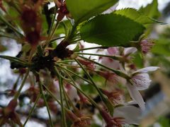 -浙大城市学院第二食堂