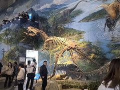 -自贡恐龙博物馆