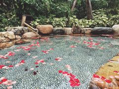 -厦门日月谷温泉渡假村