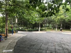 -大兴滨河森林公园