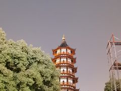 -绳金塔