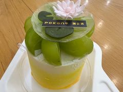 舒绻莲-蒲公英(五里店)