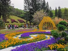 -深圳仙湖植物园