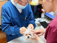 -瑞派康怡24h宠物医院·犬猫医疗中心·微创绝育(瑞景分院)