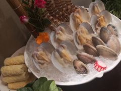 象拔蚌刺身-德米火锅(深圳湾1号旗舰店)