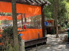-二荆条·蜀鲜汇城市森林火锅