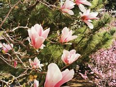 -国家植物园南园