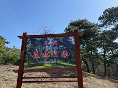 -清西陵