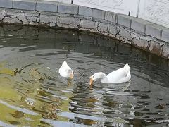 -丰台花园