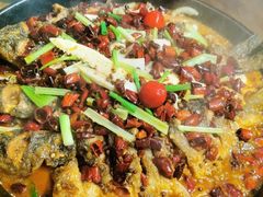 -老板恋上鱼(荣盛广场店)