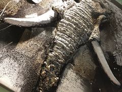 -南宫温泉水世界