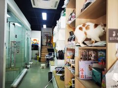 -联萌宠物医院(猫病专科)