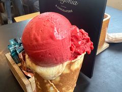 RASPBERRY-Patagonia Chocolates(皇后镇店)