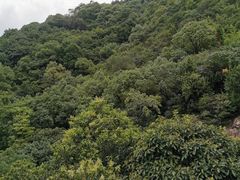 -杭州半山国家森林公园