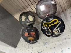 -半岛宠物医院24小时(白果林店)