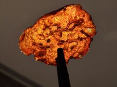 -许家菜.艺创菜(仁和新城店)