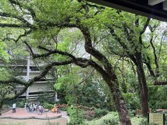 -香港大学